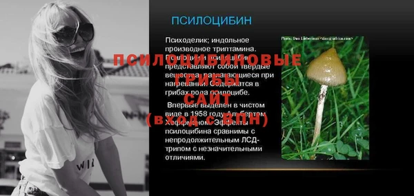 ПСИЛОЦИБИНОВЫЕ ГРИБЫ Белоозёрский