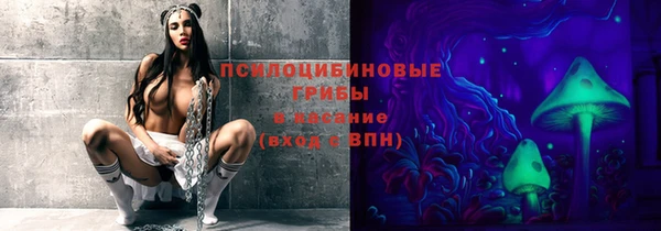 СК Белокуриха