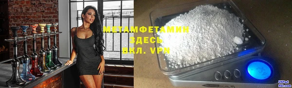 сатива Беломорск