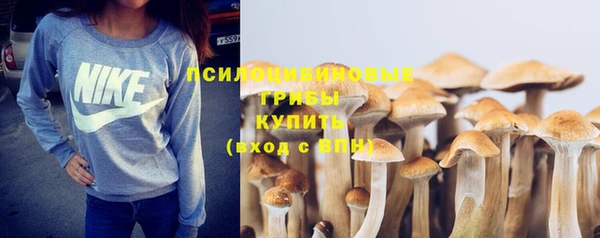 ПСИЛОЦИБИНОВЫЕ ГРИБЫ Белоозёрский