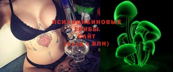 СК Белокуриха