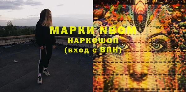 сатива Беломорск