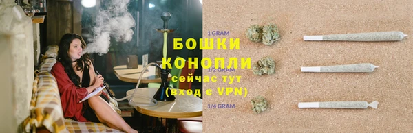 сатива Беломорск