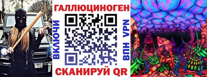 где найти Болгар Псилоцибиновые грибы Cubensis